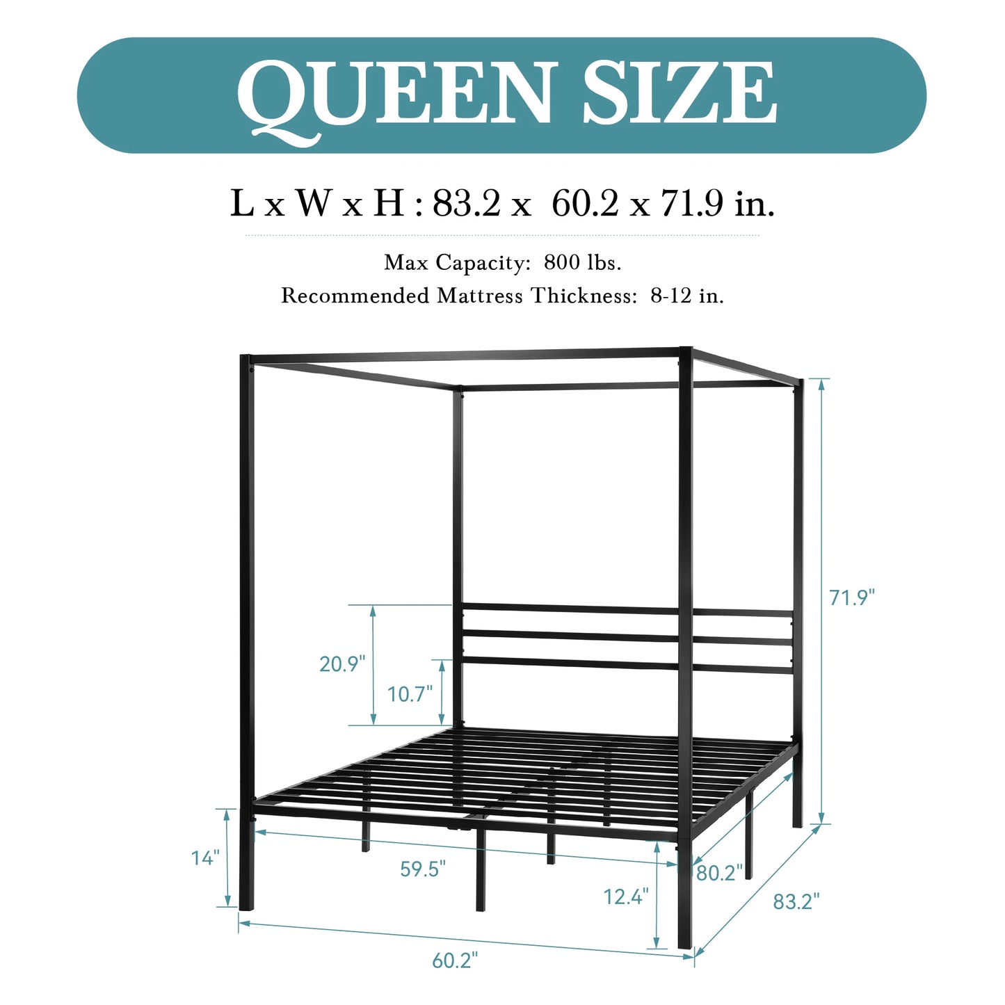 Canopy Bed Frame, 4-Poster, No Box Spring Needed